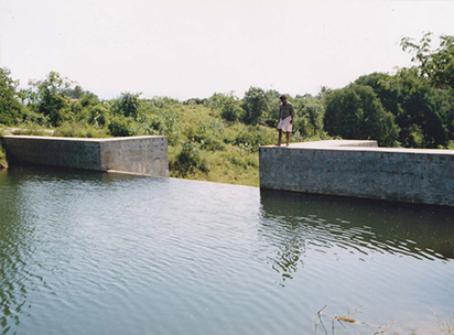 check-dam-4