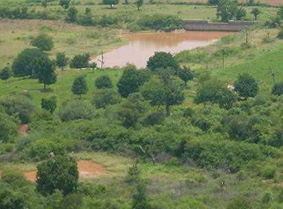 check-dam-1